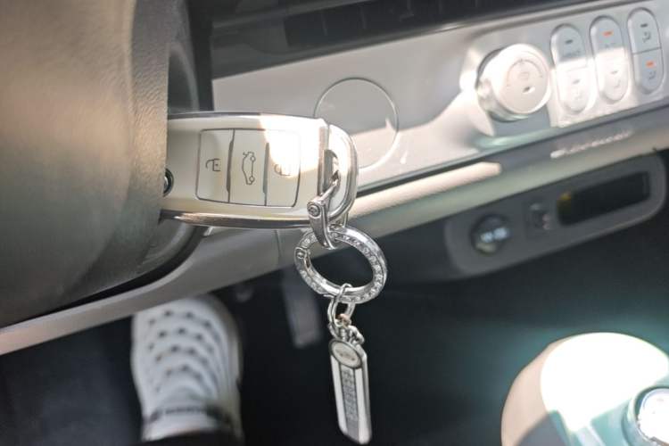 Used CHANGAN NEVO Lumin 2025 205 km Xiangqin Version Interior 1