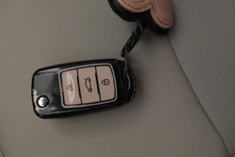 Used CHANGAN NEVO Lumin 2025 301km Honey Dew Edition Interior 1