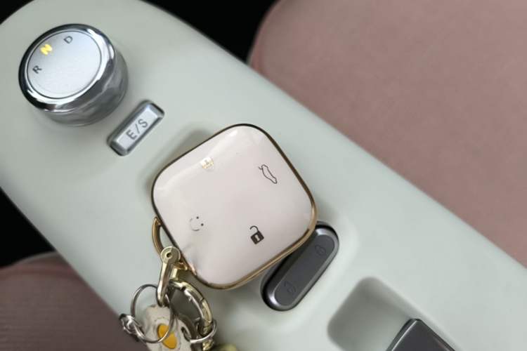 Used CHANGAN NEVO Lumin 2025 205 km Xiangqin Version Interior 1