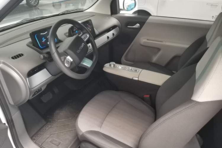 Used CHANGAN NEVO Lumin 2025 205 km Xiangqin Version Left Front Seat