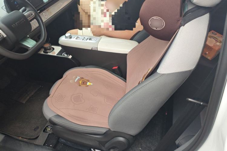 Used CHANGAN NEVO Lumin 2025 205 km Xiangqin Version Left Front Seat