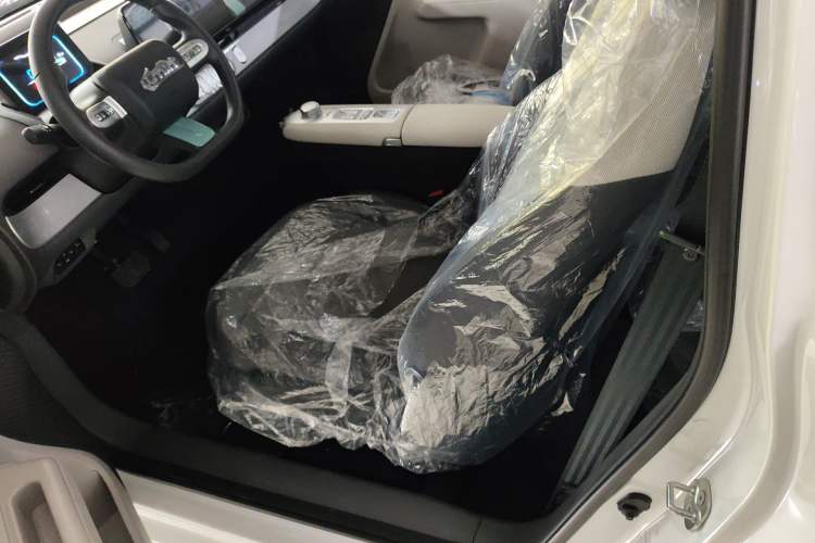 Used CHANGAN NEVO Lumin 2025 205 km Xiangqin Version Left Front Seat