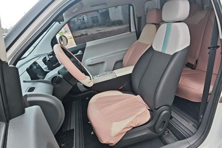 Used CHANGAN NEVO Lumin 2025 205 km Xiangqin Version Left Front Seat