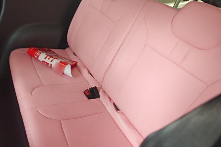 Used CHANGAN NEVO Lumin 2025 205 km Xiangqin Version Left Rear Seat