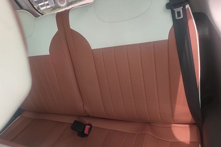 Used CHANGAN NEVO Lumin 2025 205 km Xiangqin Version Left Rear Seat