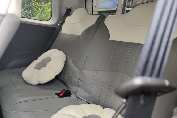 Used CHANGAN NEVO Lumin 2025 205 km Xiangqin Version Left Rear Seat