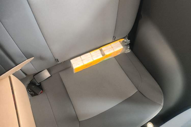 Used CHANGAN NEVO Lumin 2025 205km Refreshing Edition Left Rear Seat