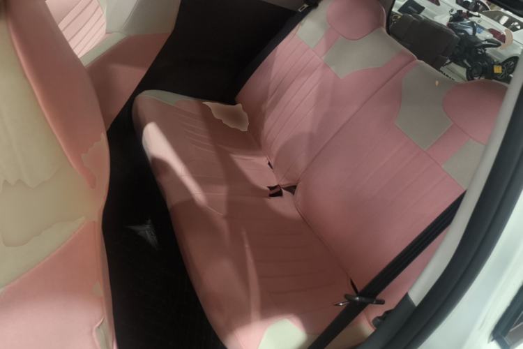 Used CHANGAN NEVO Lumin 2025 205 km Xiangqin Version Left Rear Seat
