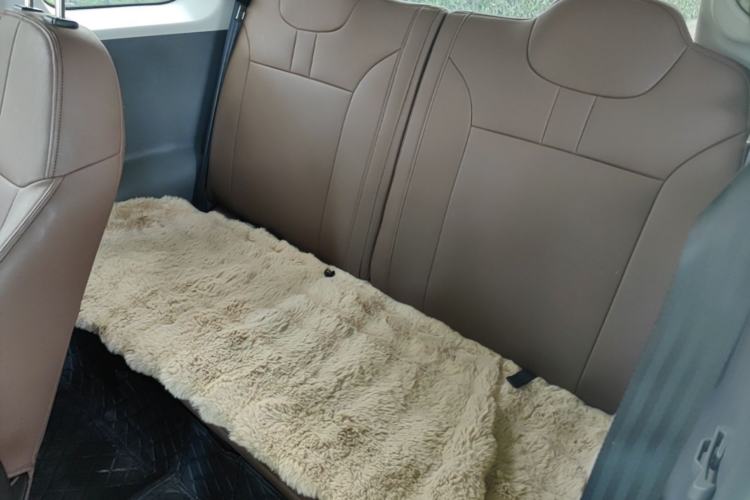 Used CHANGAN NEVO Lumin 2025 205 km Xiangqin Version Left Rear Seat