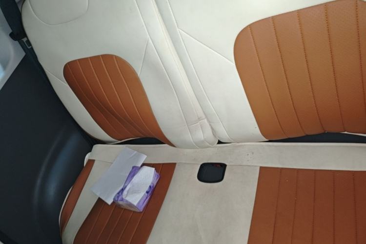 Used CHANGAN NEVO Lumin 2025 205 km Xiangqin Version Left Rear Seat