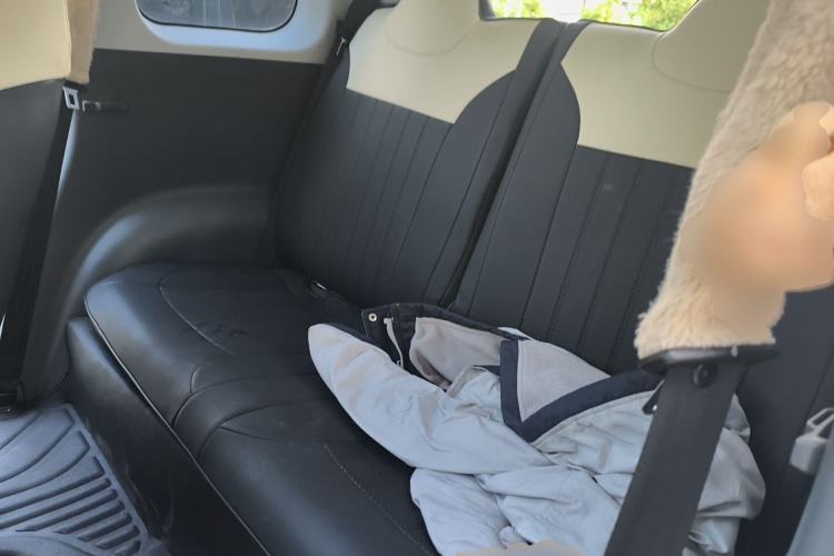 Used CHANGAN NEVO Lumin 2025 205 km Xiangqin Version Left Rear Seat