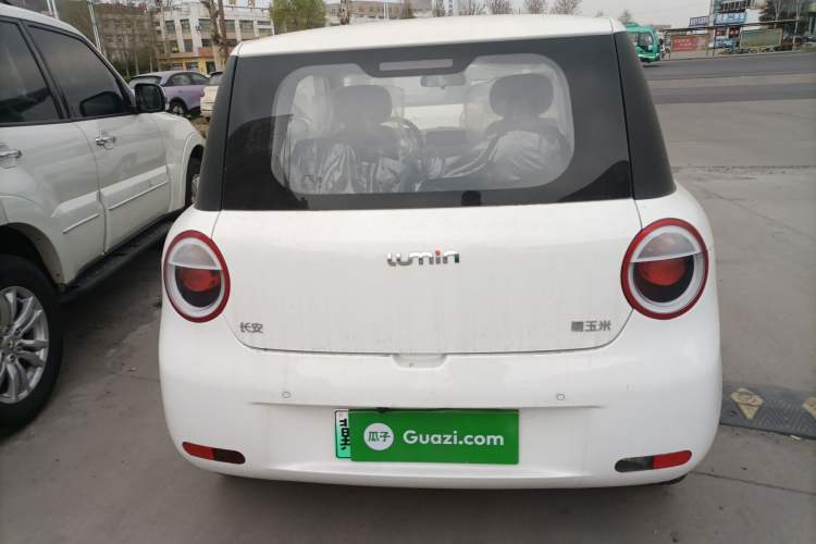 Used CHANGAN NEVO Lumin 2025 205 km Xiangqin Version Rear