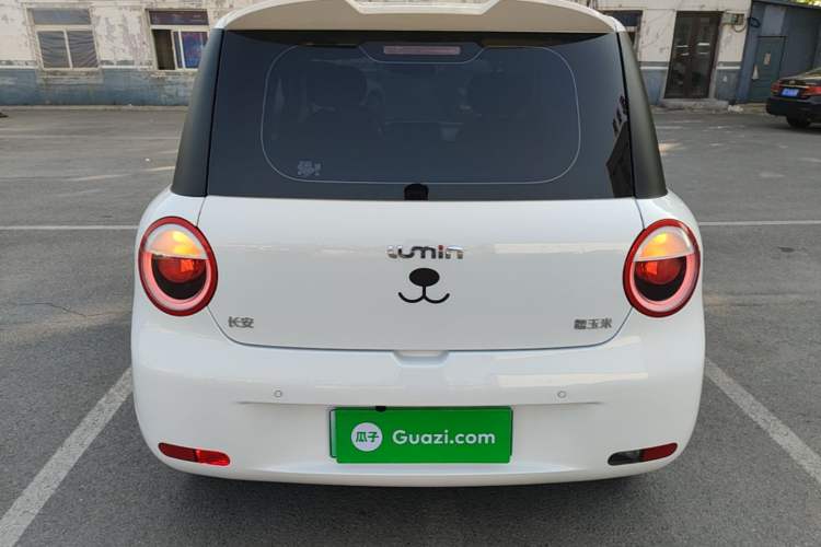 Used CHANGAN NEVO Lumin 2025 205 km Xiangqin Version Rear