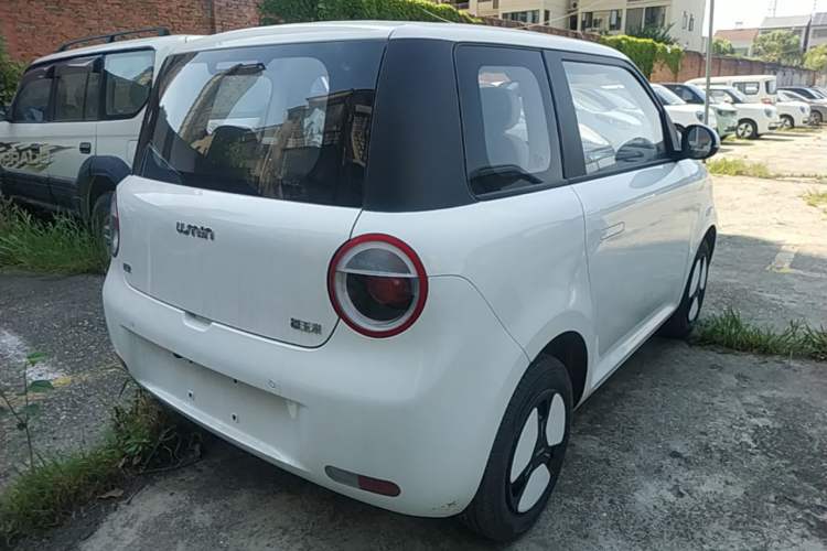 Used CHANGAN NEVO Lumin 2025 205 km Xiangqin Version Rear Right 45 Deg