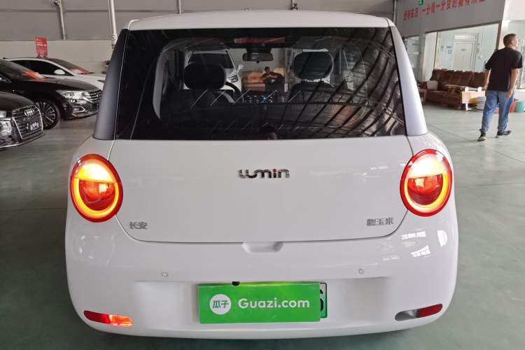 Used CHANGAN NEVO Lumin 2025 205 km Xiangqin Version Rear