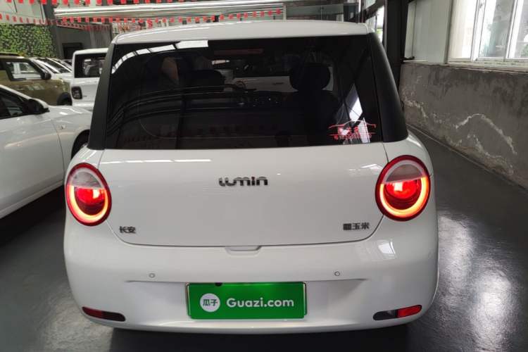 Used CHANGAN NEVO Lumin 2025 205 km Xiangqin Version Rear