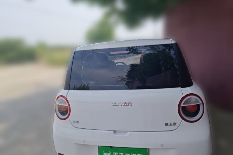 Used CHANGAN NEVO Lumin 2025 205 km Xiangqin Version Rear