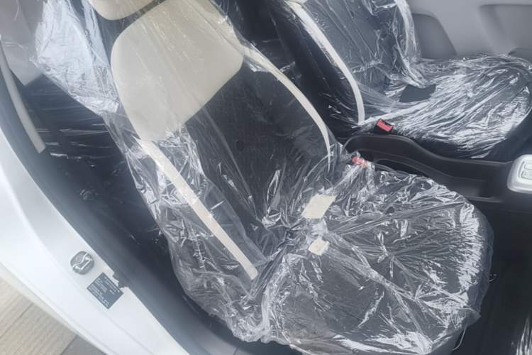 Used CHANGAN NEVO Lumin 2025 205 km Xiangqin Version Right Front Seat