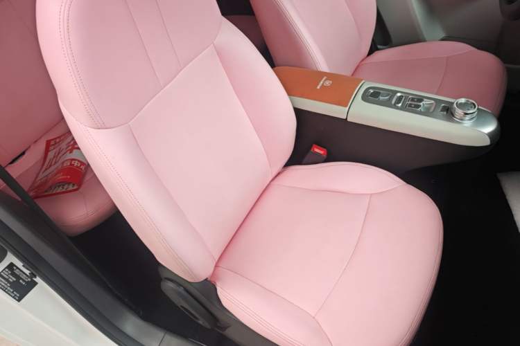 Used CHANGAN NEVO Lumin 2025 205 km Xiangqin Version Right Front Seat