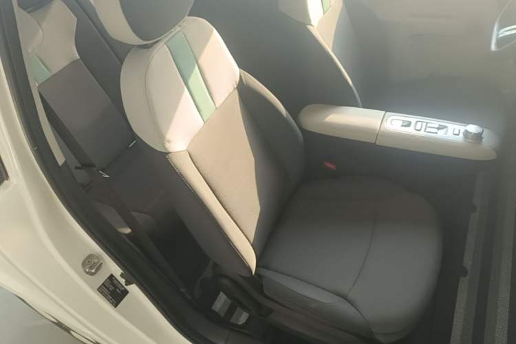 Used CHANGAN NEVO Lumin 2025 205 km Xiangqin Version Right Front Seat