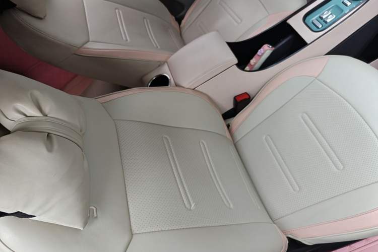 Used CHANGAN NEVO Lumin 2025 205 km Xiangqin Version Right Front Seat