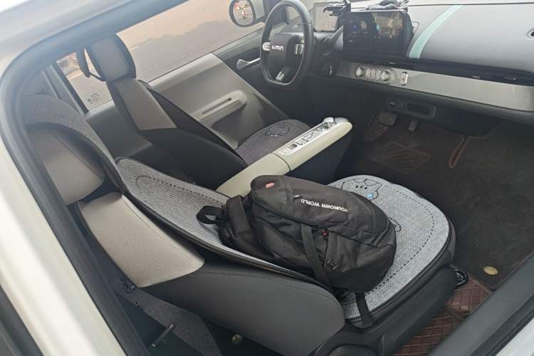 Used CHANGAN NEVO Lumin 2025 205 km Xiangqin Version Right Front Seat
