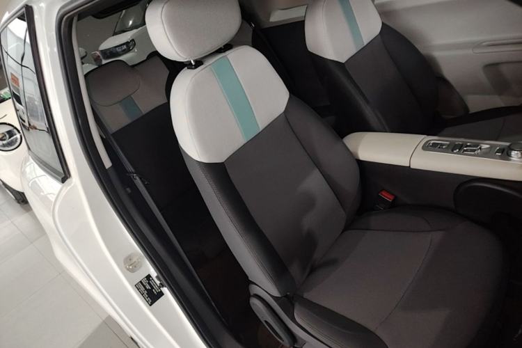 Used CHANGAN NEVO Lumin 2025 205 km Xiangqin Version Right Front Seat