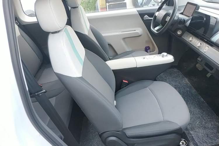 Used CHANGAN NEVO Lumin 2025 205 km Xiangqin Version Right Front Seat