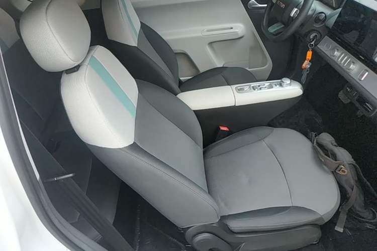 Used CHANGAN NEVO Lumin 2025 205 km Xiangqin Version Right Front Seat
