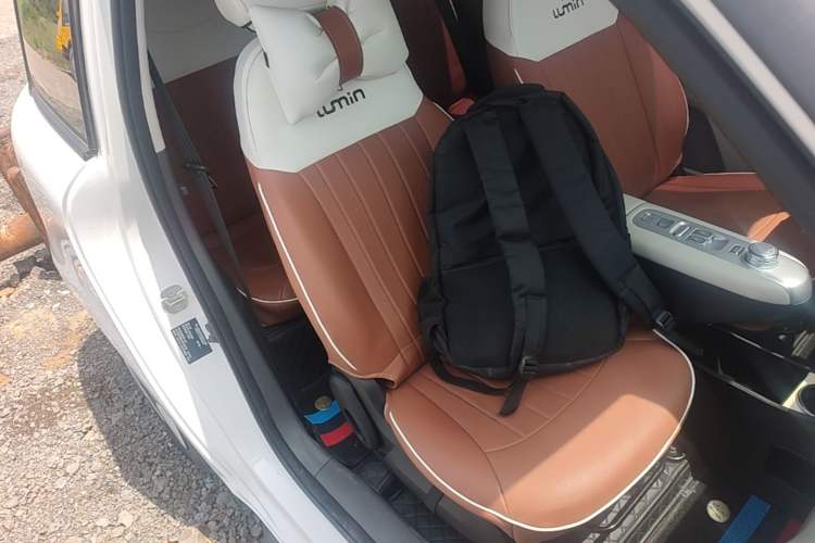 Used CHANGAN NEVO Lumin 2025 205 km Xiangqin Version Right Front Seat
