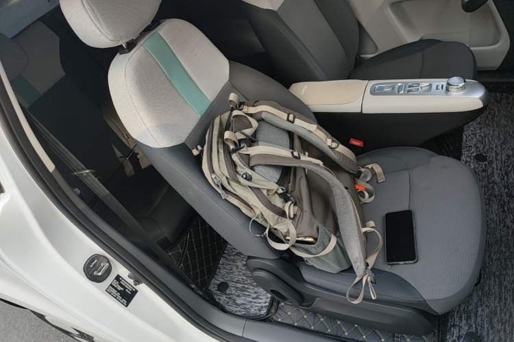 Used CHANGAN NEVO Lumin 2025 205 km Xiangqin Version Right Front Seat