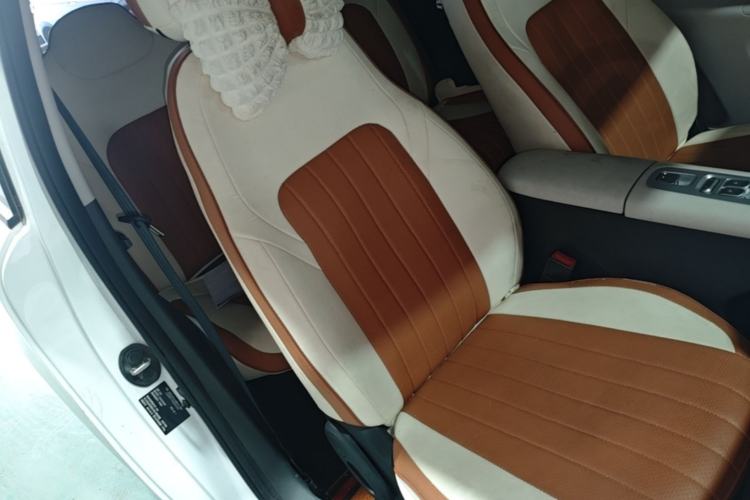 Used CHANGAN NEVO Lumin 2025 205 km Xiangqin Version Right Front Seat
