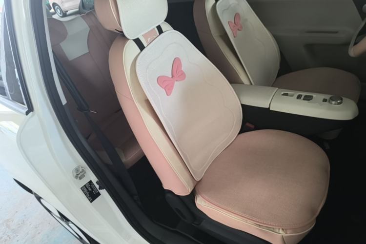Used CHANGAN NEVO Lumin 2025 205 km Xiangqin Version Right Front Seat