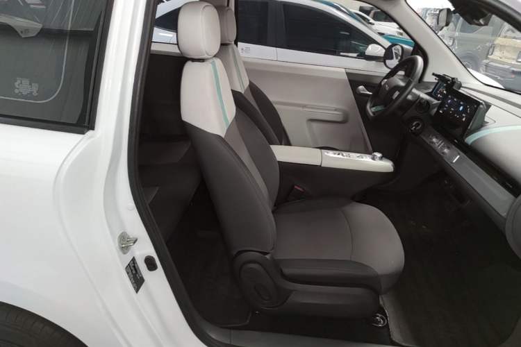 Used CHANGAN NEVO Lumin 2025 205 km Xiangqin Version Right Front Seat