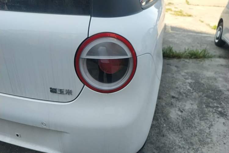 Used CHANGAN NEVO Lumin 2025 205 km Xiangqin Version Right Rear Taillight
