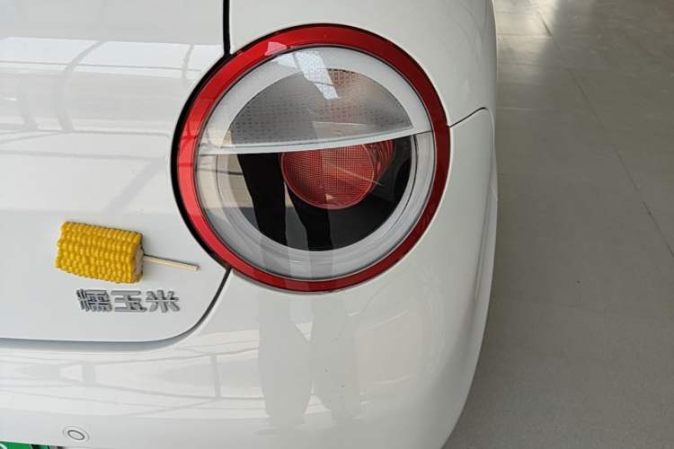 Used CHANGAN NEVO Lumin 2025 205 km Xiangqin Version Right Rear Taillight