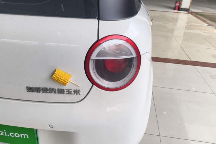 Used CHANGAN NEVO Lumin 2025 205 km Xiangqin Version Right Rear Taillight