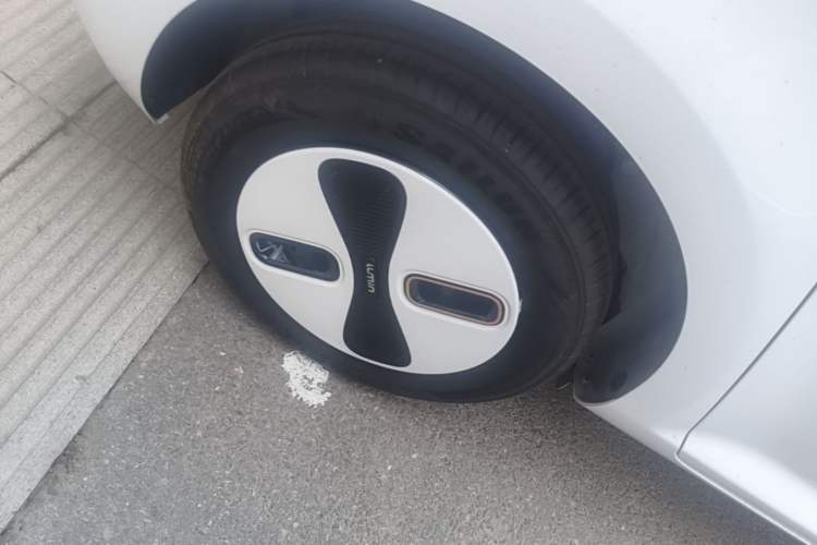 Used CHANGAN NEVO Lumin 2025 205 km Xiangqin Version Right Rear Wheel Hub