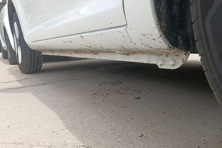 Used CHANGAN NEVO Lumin 2025 205 km Xiangqin Version Right Side Sill