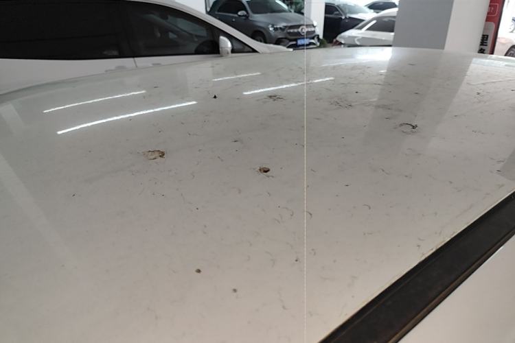 Used CHANGAN NEVO Lumin 2025 205 km Xiangqin Version Roof