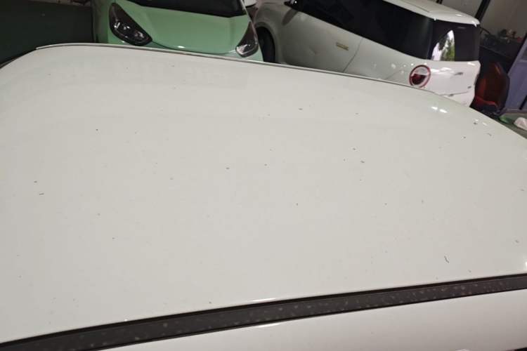 Used CHANGAN NEVO Lumin 2025 205 km Xiangqin Version Roof