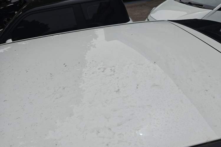 Used CHANGAN NEVO Lumin 2025 205km Refreshing Edition Roof