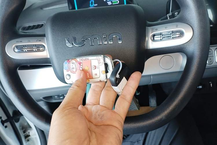 Used CHANGAN NEVO Lumin 2025 205 km Xiangqin Version Vehicle Key