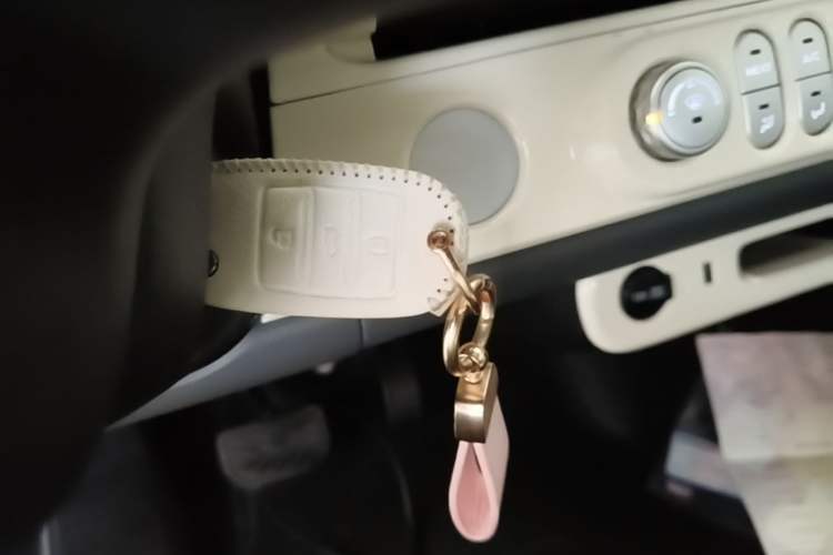 Used CHANGAN NEVO Lumin 2025 205 km Xiangqin Version Vehicle Key