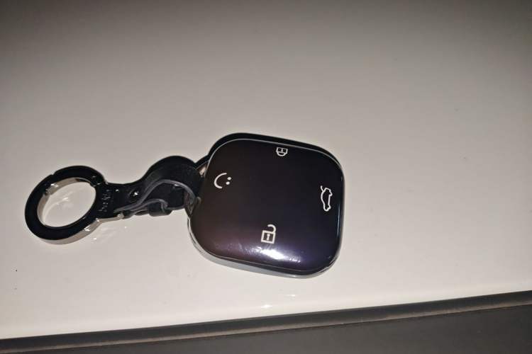 Used CHANGAN NEVO Lumin 2025 301km Honey Dew Edition Vehicle Key
