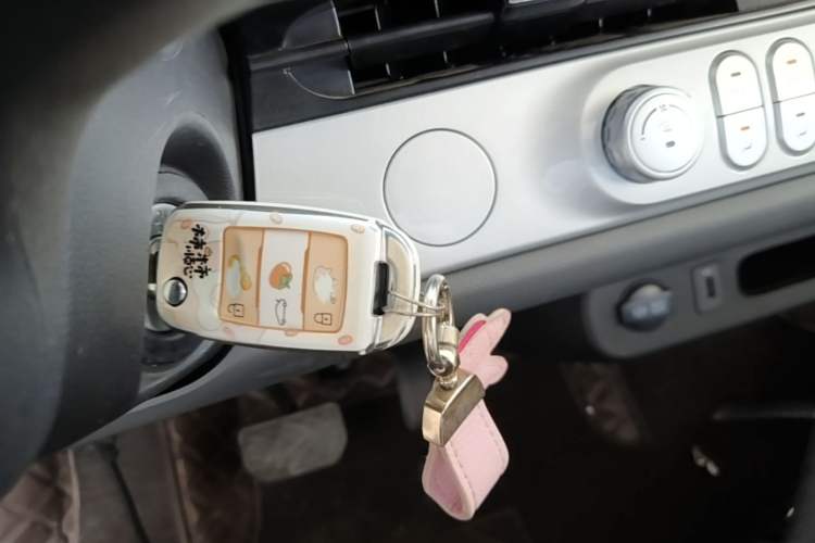 Used CHANGAN NEVO Lumin 2025 205 km Xiangqin Version Vehicle Key