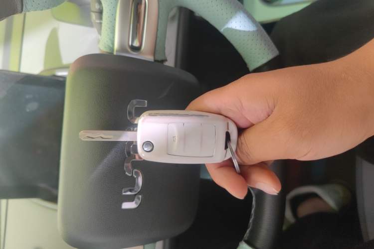 Used CHANGAN NEVO Lumin 2025 205km Refreshing Edition Vehicle Key