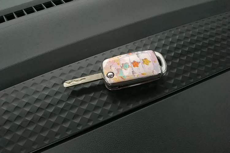 Used CHANGAN NEVO Lumin 2025 205 km Xiangqin Version Vehicle Key