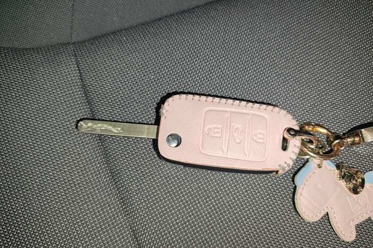 Used CHANGAN NEVO Lumin 2025 205 km Xiangqin Version Vehicle Key