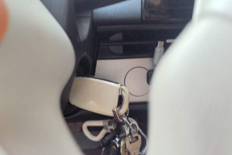 Used CHANGAN NEVO Lumin 2025 301km Honey Dew Edition Vehicle Key